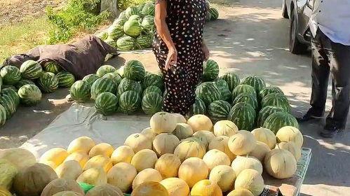 免费吃瓜摊,街头美食盛宴,畅享夏日清凉 第3张 免费吃瓜摊,街头美食盛宴,畅享夏日清凉 第3张