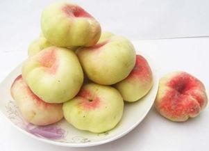 新疆蟠桃爆料事件视频,真相与争议交织  第1张