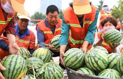 临沂吃瓜网红事件,揭秘网络舆论的风暴与真相  第3张