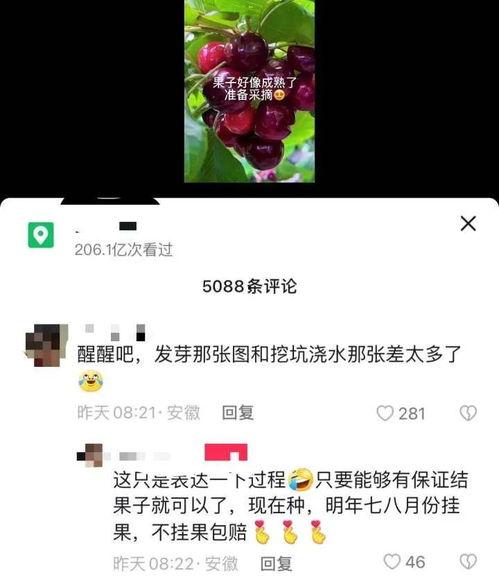 视频结尾爆料怎么弄出来,幕后操作解析与技巧分享  第3张