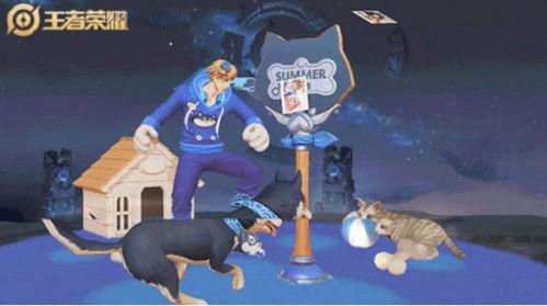 大乔猫狗爆料视频大全集,揭秘视频大全集精彩瞬间 第1张 大乔猫狗爆料视频大全集,揭秘视频大全集精彩瞬间 第1张