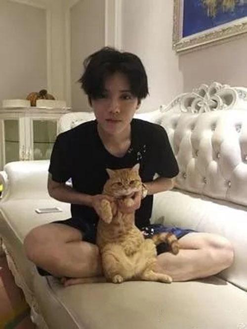 鹿晗豪宅爆料视频大全最新,豪华设施与生活品味一览无余  第1张