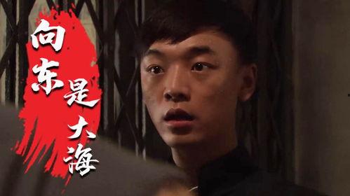 向东是大海在线观看,揭秘“向东是大海”在线观看之旅 第3张 向东是大海在线观看,揭秘“向东是大海”在线观看之旅 第3张