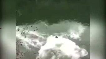 霸篮少年在线观看,热血青春，篮球梦想的激荡之旅  第3张