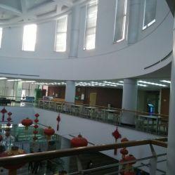 大连图书馆爆料事件视频,揭秘背后真相与争议 第3张 大连图书馆爆料事件视频,揭秘背后真相与争议 第3张