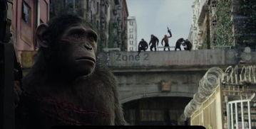 猿球崛起2在线观看,新纪元——智猿争霸，未来世界风云再起