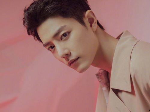 肖战最新综艺爆料事件,揭秘幕后真相与网络舆论影响  第3张