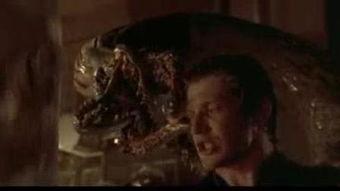 恐怖阴影在线观看,在线惊悚之旅