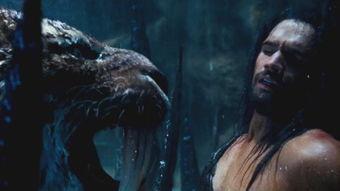 爆料明月鸟哥视频下载,轻松获取热门内容