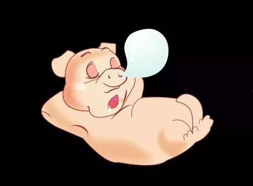 小胖猪是谁爆料的视频,揭秘视频背后的惊人真相 第2张 小胖猪是谁爆料的视频,揭秘视频背后的惊人真相 第2张