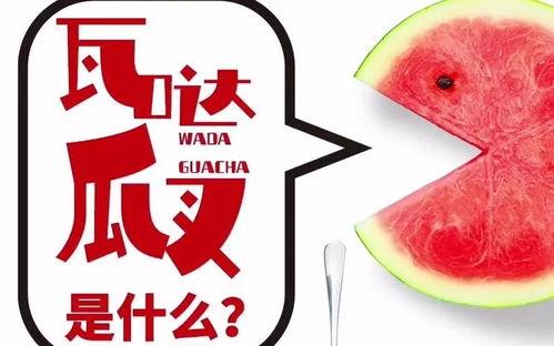 吃瓜免费抖音  第2张